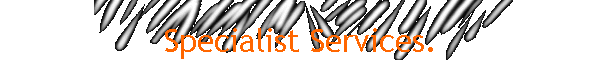 Specialist Services.